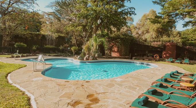 Amboseli serena swimming